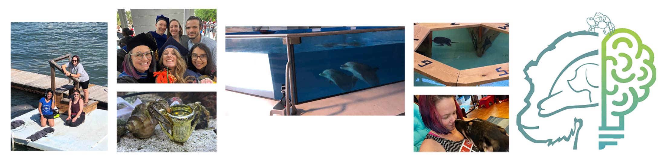 Collage of images including faculty and student working with animals.
