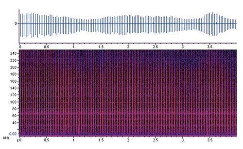 The top panel shows the waveform for the relative frequency of the click train. The bottom panel shows the spectrogram representing the broadband frequency over time