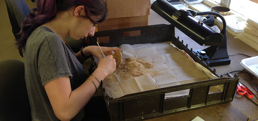 Female student using brush to work on bones