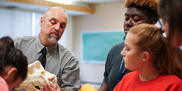 Dr. Carr working with skull in class with students. Dr. Carr working with skull in class with students.