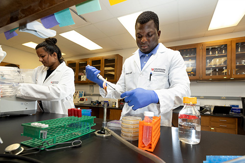 Basic Medical Sciences Admissions Ph.D. students in lab