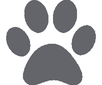 Gray Pawprint